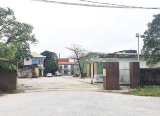 Environmental violations found in numerous businesses in Quang Binh