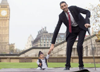 Once a formidable competitor in the stock market, the total market capitalization of the entire real estate industry is now less than the combined market capitalization of three banks.