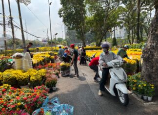 Popular Affordable Flowers