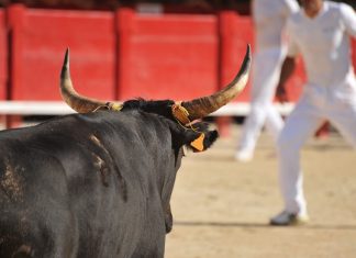 This BTC index is equivalent to the early uptrend phase of 2021