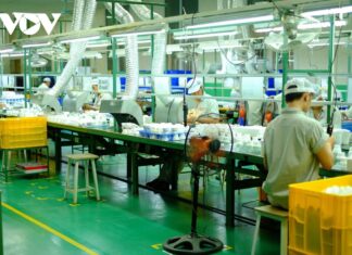 2024: The Year of Economic Recovery