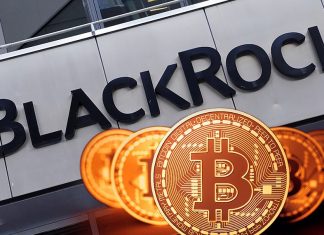 BlackRock’s Bitcoin spot ETF trading volume exceeds $1.1 billion