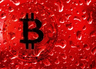 CryptoQuant Analyst Evaluates Bitcoin’s Adjustment Potential