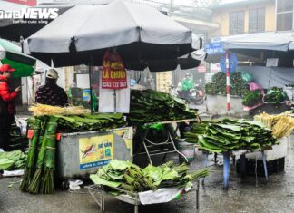 Hanoi’s Oldest and Busiest Lá Dong Market on the Eve of Tet