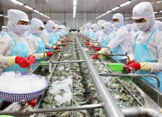 Propose adding a bad scenario script to “shock” the economy