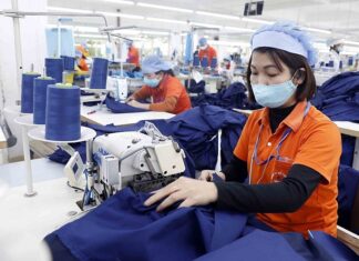 Canada: Unlocking Opportunities for Vietnamese Businesses to Scale and Expand Globally