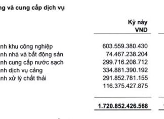 Record-breaking revenue, Sonadezi (SNZ) reports nearly VND 1,400 billion after-tax profit in 2023.