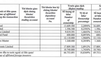 Dragon Capital Acquires Additional 3 Million HSG Shares from Hoa Sen Group