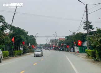 Pocket millions every day from the ‘evil-repelling’ tree service