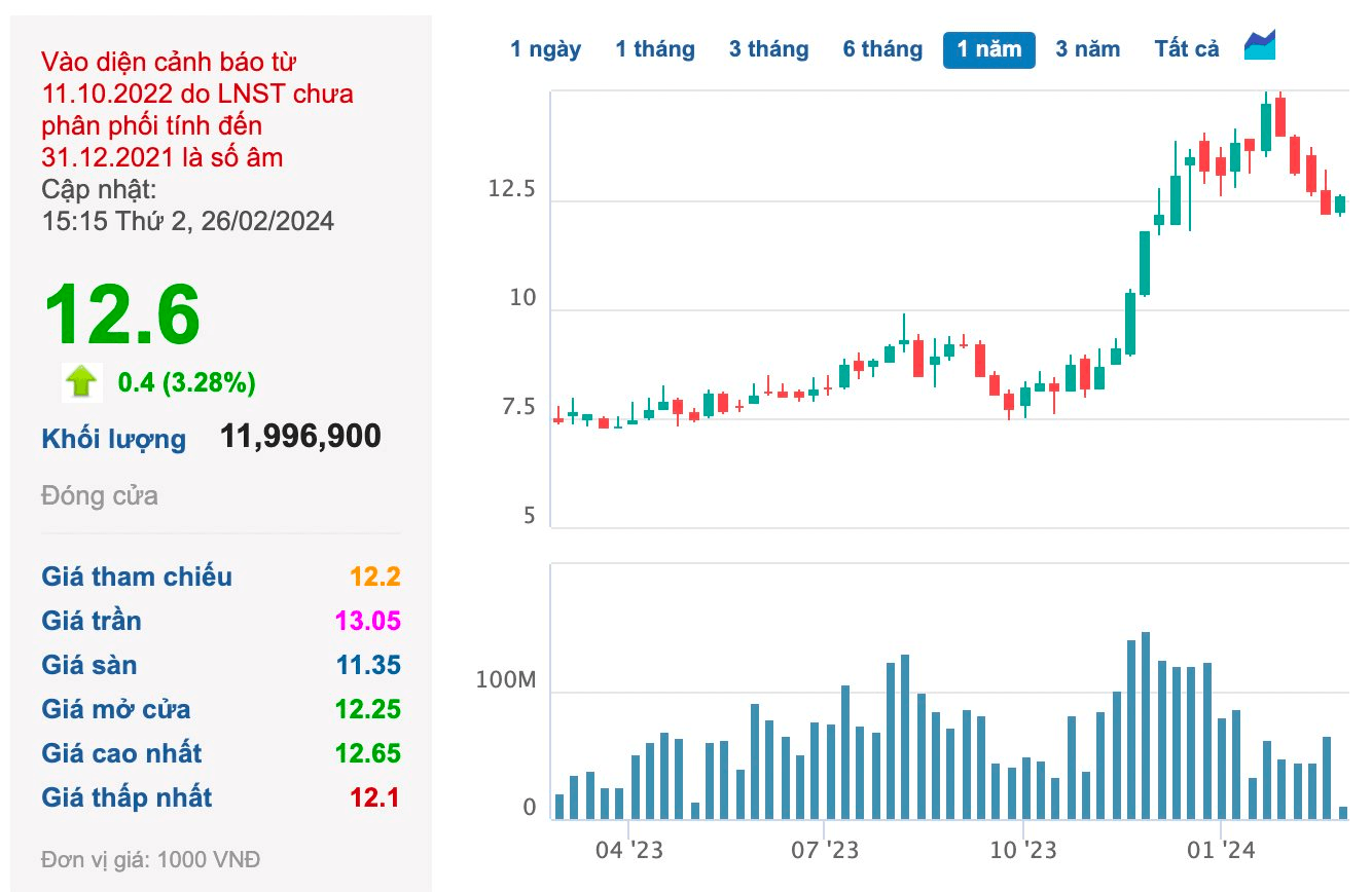 Hoang Anh Gia Lai (HAGL) finalizes strategic investor lineup for 1.3 trillion issuance
