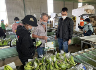 HAGL’s Billion Dollar “Weapon”