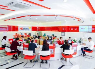 HDBank achieves a profit of VND 13,017 billion, intensifying sustainable finance and comprehensive digital transformation.