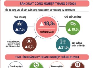 Vietnam’s Economic Landscape in the First Month of 2024
