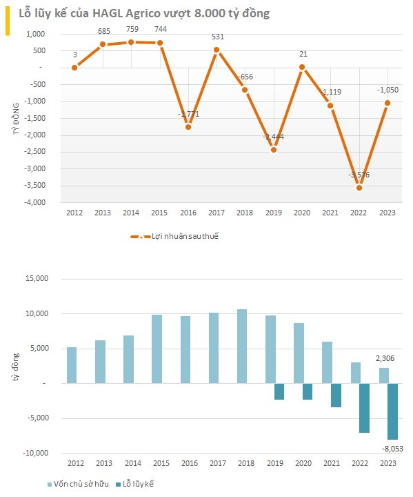 HAGL Agrico (HNG) faces compulsory delisting as accumulated losses exceed 8,000 billion after 12 consecutive quarters of losses.
