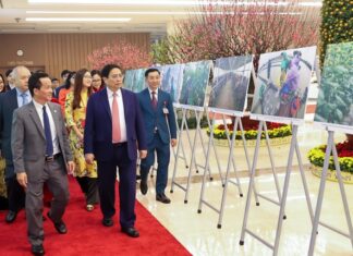 Prime Minister: Collective economic contribution to GDP remains low