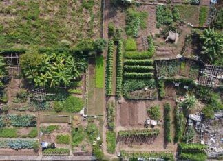 Hanoi’s Update on the Delayed 1.000 billion VND Hospital Project