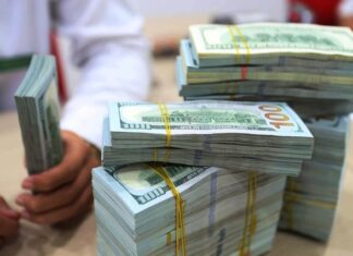 Vietcombank dominates the Vietnamese forex market with a 24% market share by 2023.