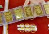 Surge in Domestic Gold Prices