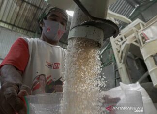 Vietnam’s $4.6 billion ‘Treasure’ triumphs, neighboring countries receive bad news