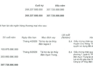 Q4 Boosts Quốc Cường Gia Lai’s Full-Year 2023 Profits