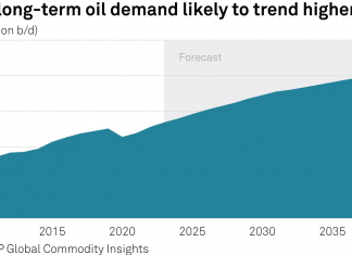 China is not the only country that will drive global oil demand in the next 20 years, which is 9 times the size of Vietnam