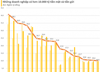 Top Stocks with the Highest Market Cap in 2023: Vingroup and Hoa Phat Surpassing Others, Oil Companies Dominating