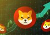 Shib community sends petition to CEO Grayscale urging the launch of Shiba Inu ETF fund