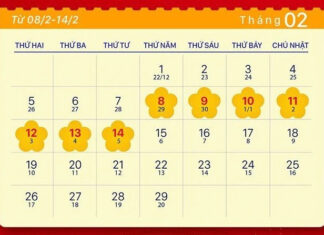 Governor: Strict penalties for ATMs with insufficient funds; no Lunar New Year wishes or gifts for leaders