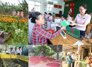 Territory-based credit policy in Ho Chi Minh City shows nearly 39% growth