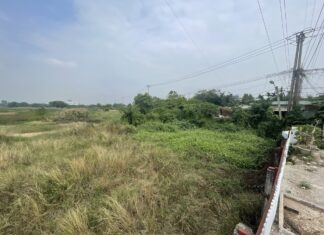 Hanoi to reclaim over 2,600 hectares of agricultural land in two districts