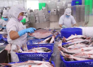 Export of agricultural, forestry, and aquatic products increases by over 79%