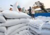 Vietnamese Business Wins Major Contract, Forecasts Rice Exports to Soar
