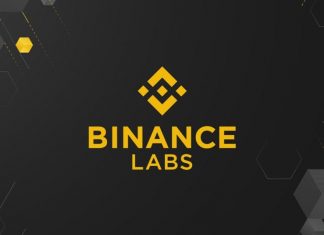 Binance unveils 13 promising new cryptocurrency projects for investment.