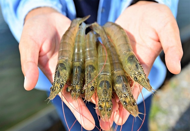 FMC’s February sales decreased by 16% compared to the same period