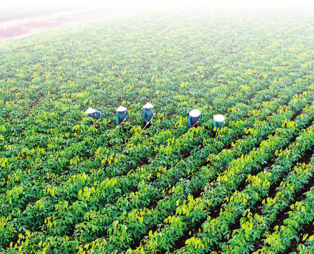 GVR unveils modest growth plan for 2024, outlines extensive investment restructuring until 2025