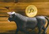 Bitcoin Surpasses Gold in Investment Portfolio Allocation: JPMorgan