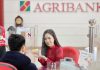 A company with a registered capital of 12 billion VND owes nearly 200 billion VND to Agribank