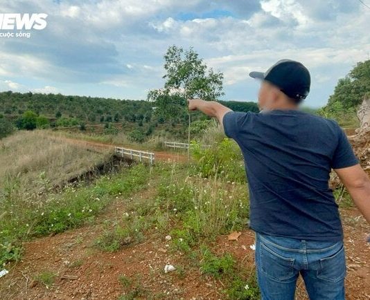 Declining trend of ‘returning to the wilderness’ movement, with a 30% drop in land prices and no buyers.