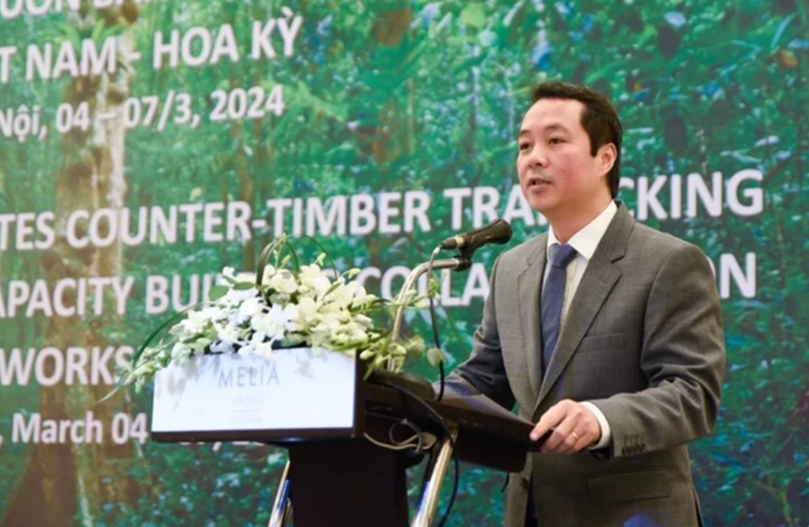 Vietnam and the United States collaborate to enhance capacity in combating illegal timber trafficking