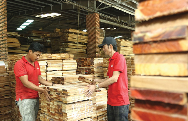 Will “Doorway” Open for Wood Exports in 2024?