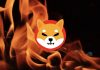 Shiba Inu: 4.5 billion SHIB burned, will the price reach 0.00004 USD?