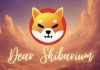 The Silent Rise of Shiba Inu, Surpassing Bitcoin and Ethereum