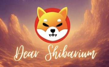The Silent Rise of Shiba Inu, Surpassing Bitcoin and Ethereum