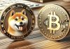 How high can SHIB increase before Bitcoin undergoes Halving?