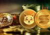 Shiba Inu outperforms Solana, Dogecoin after breaking $31 billion record