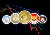 Bonk and Pepe soar as the Meme Coin market flourishes