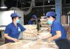 Veneer Products From Vietnam: Impact On Businesses
