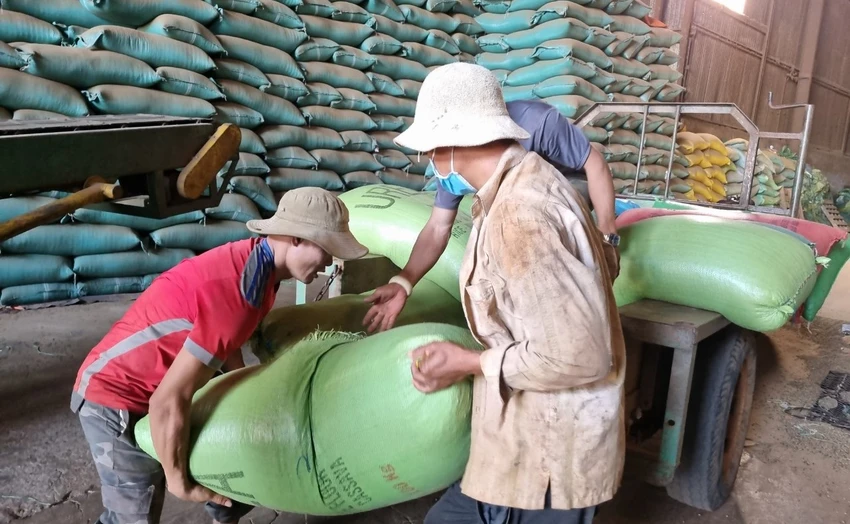 The Paradox of Soaring Coffee Bean Prices, Yet Struggling Businesses