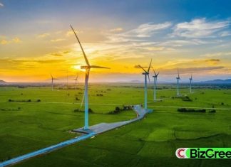Why Vietnamese SMEs Fail to Attract Green Financing from Banks: Lessons Learned from UOB’s Green Financing Case Study for Betrimex