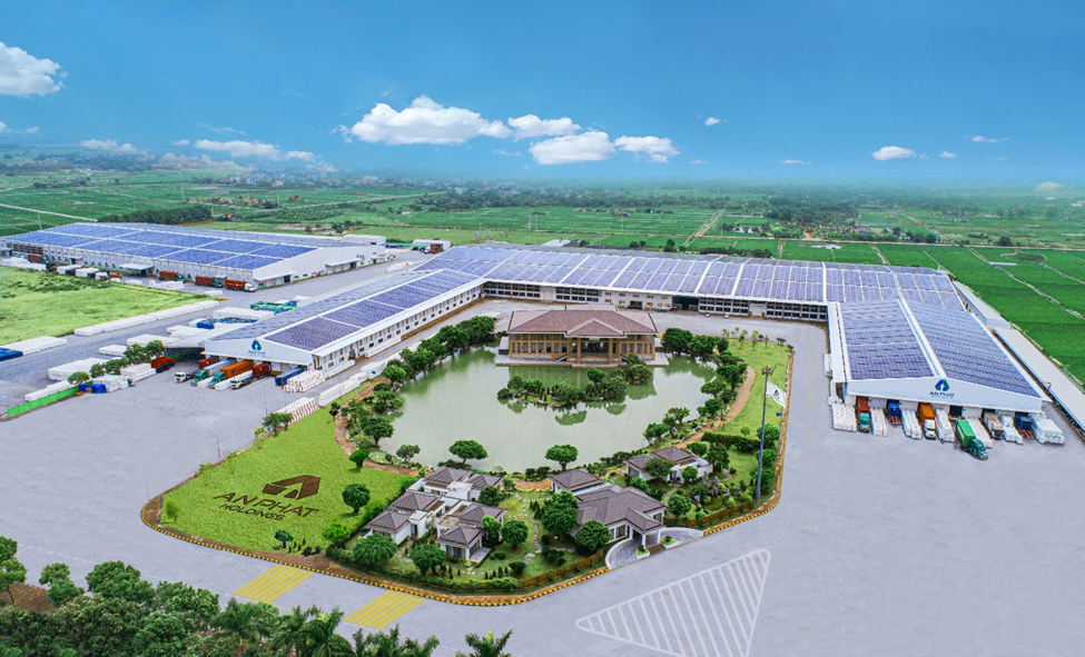 An Phat Holdings Reports Record Profits Since Listing